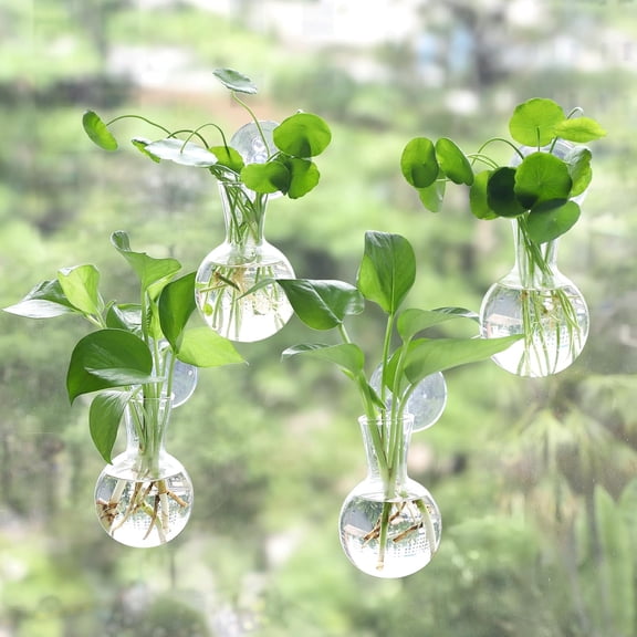 4 pcs Window Propagation Stations, Easy to Install Plant Propagation Bulbs with Suckion Cups, No Nails Wall Hanging Planter Propagation Station, Glass Plant Terrarium Vase