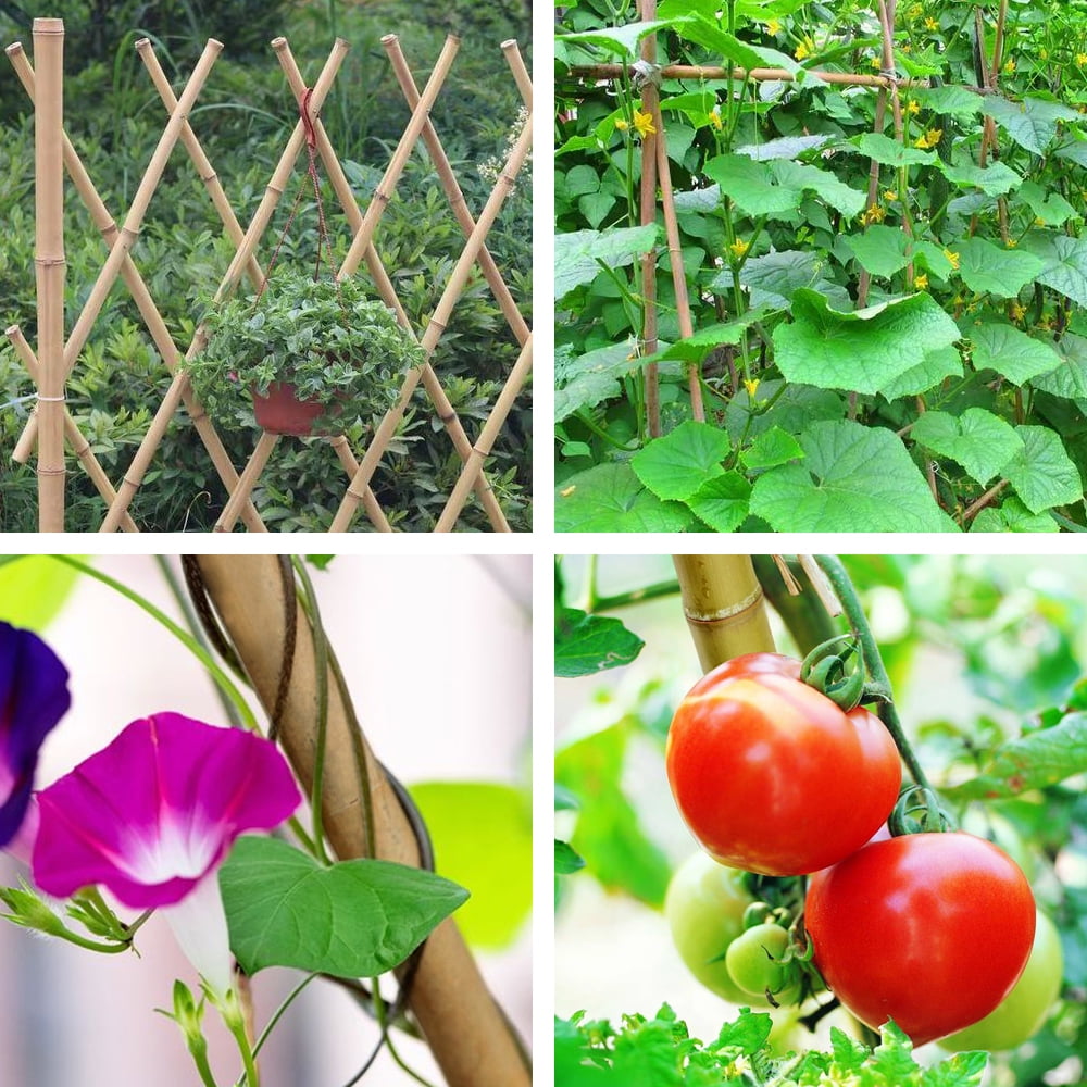 4' x 1/2'', 200pcs, bamboo stake