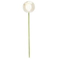thumbnail image 1 of 4" x 18" Champagne Shiny Ball Stick 6/Bg, 1 of 2
