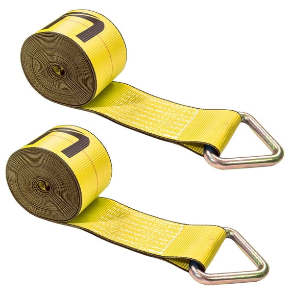 4" x 30' Winch Strap with D-Ring 2 Pack