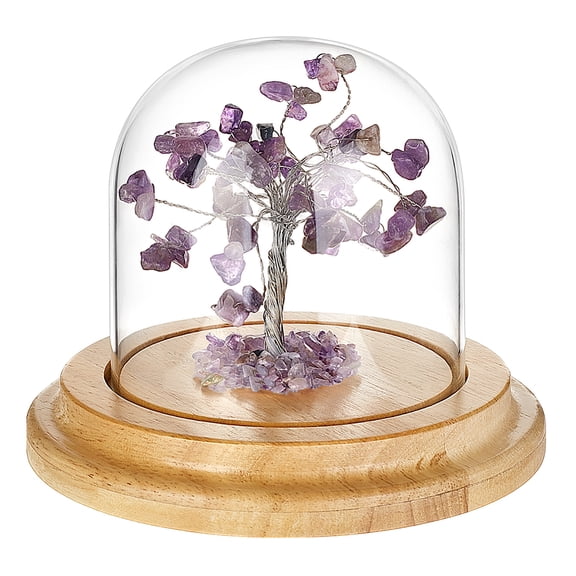 4" x 4" Glass Display Dome Cloche Glass Dome Clear Bell Jar Display Case Tabletop Centerpiece with Solid Oak Wood Base