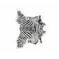 thumbnail image 1 of 4' x 5' Faux Zebra Hide Black And White Area Rug, 1 of 7