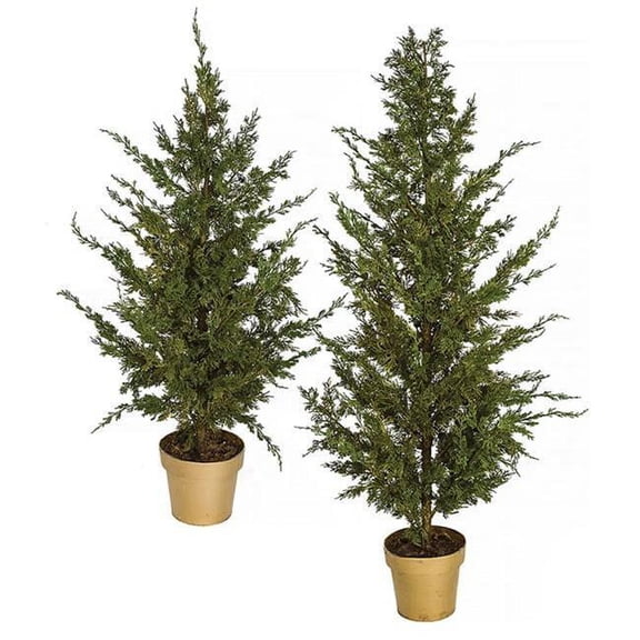 4 x 5 ft. Potted Eastern Red Cedar Tree, Green