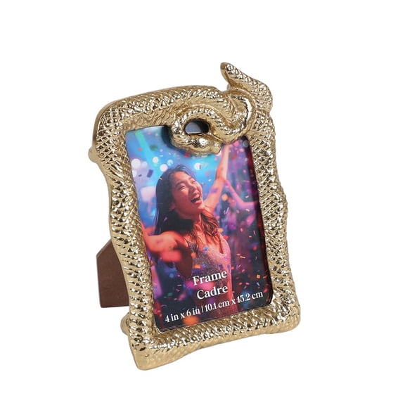 Ashland 4" x 6" Gold Snake Frame , Spring Home Decor