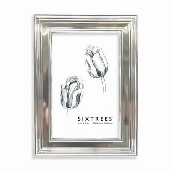 4 x 6 in. Fiona Silver Picture Frame