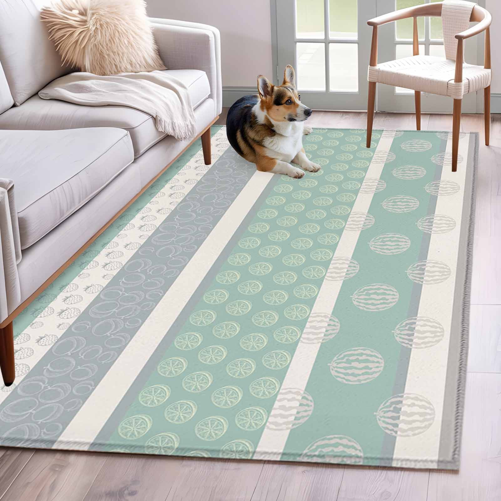 4'x6' Area Rugs, Farm Fruits Indoor Outdoor Area Rug for Living Room ...
