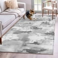 thumbnail image 1 of 4'x6' Area Rugs, Grey Abstract Indoor Outdoor Area Rug for Living Room Bedroom, Modern Oil Painted Art Contemporary Washable Bathroom Rugs Kitchen Floor Carpet Mats Home Decor Aesthetic, 1 of 8
