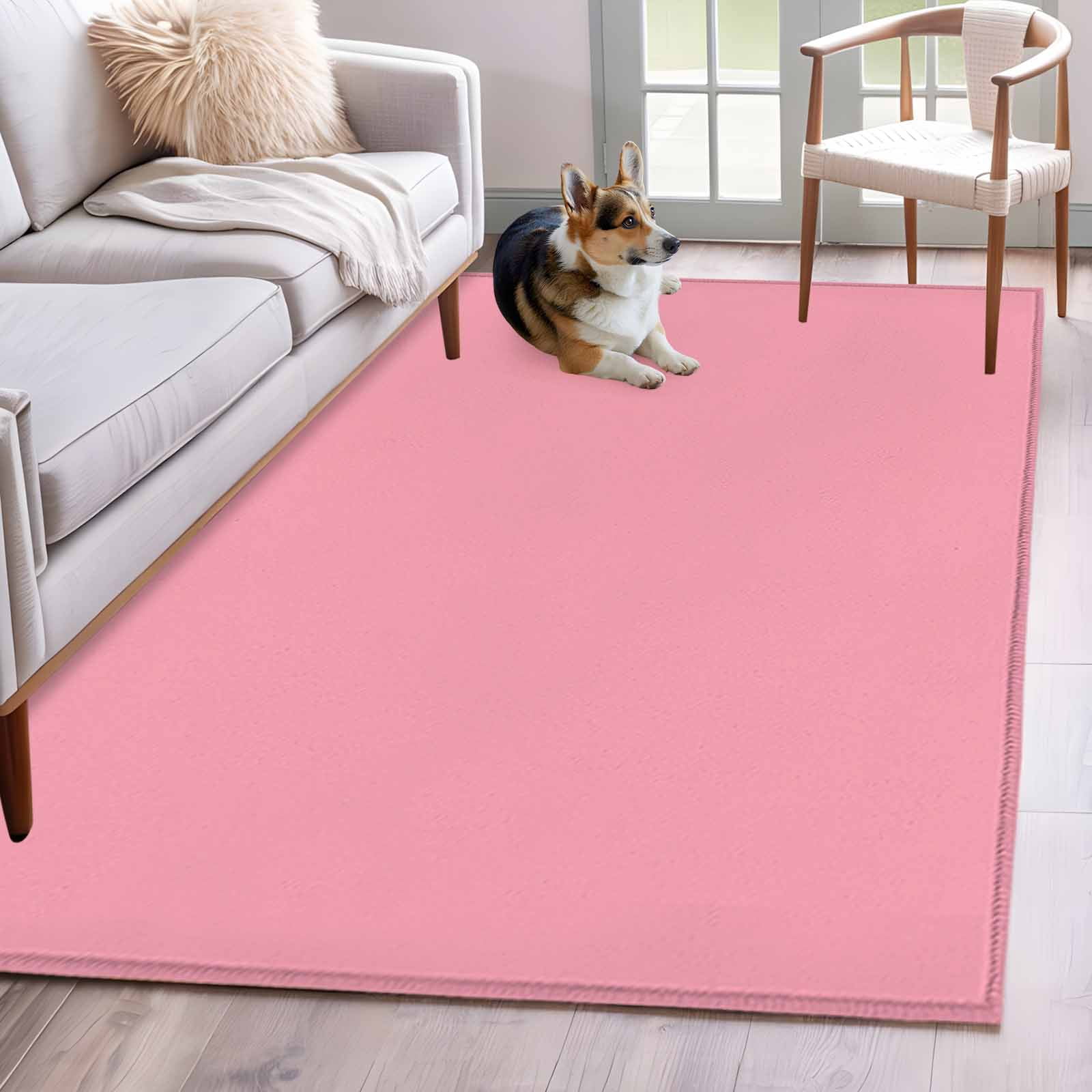 4'x6' Area Rugs, Pink Indoor Outdoor Area Rug for Living Room Bedroom ...