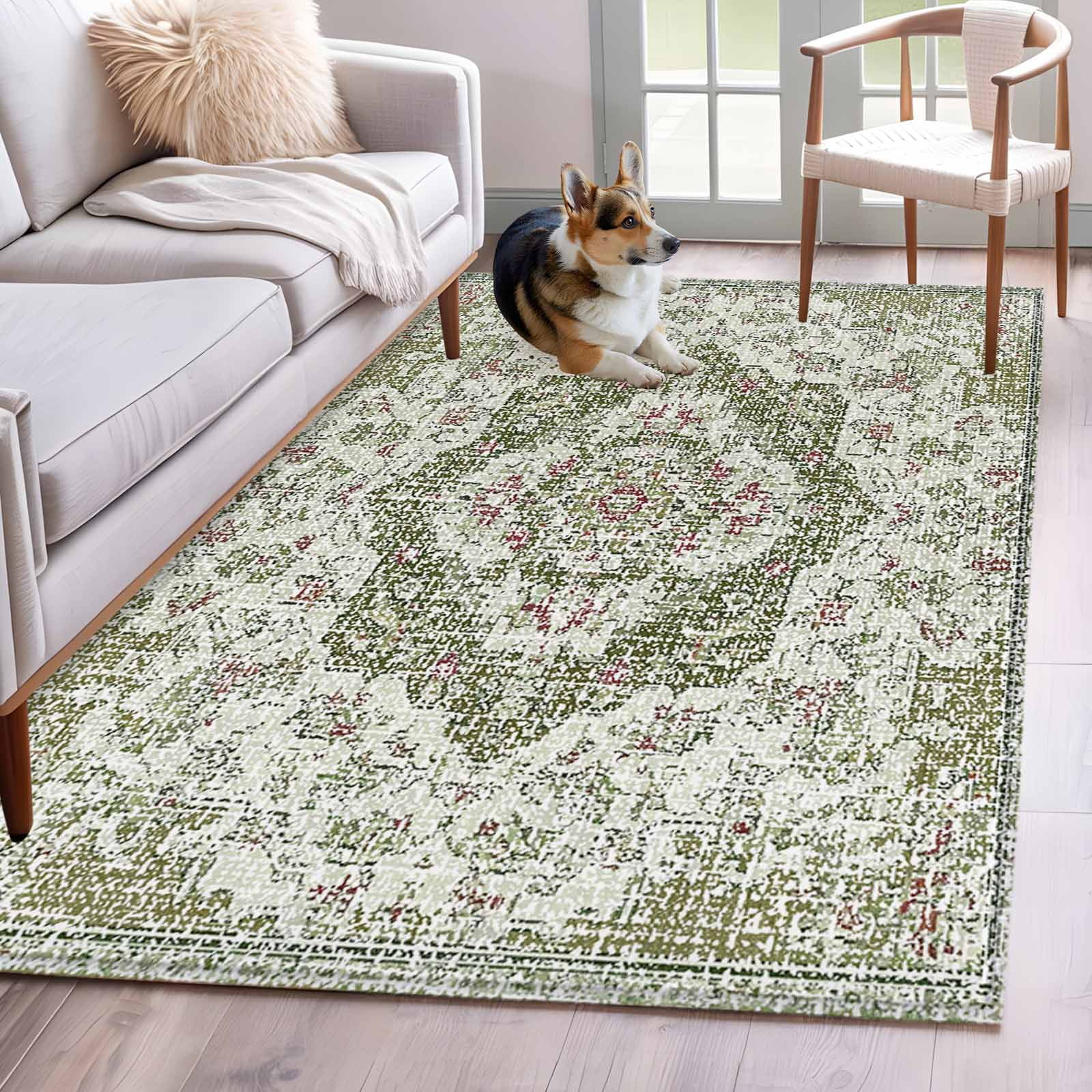 4'x6' Area Rugs, Sage Green Boho Indoor Outdoor Area Rug for Living ...
