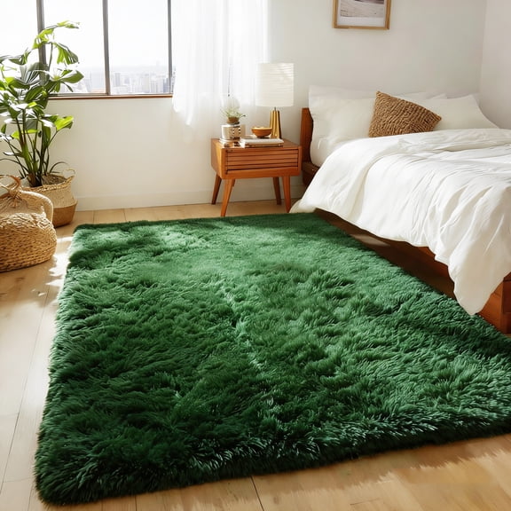 Shag Area Rug for Bedroom, 4 x 6 ft Ultra Soft Fluffy Area Rug for Living Room Bedroom Indoor Carpet,Green