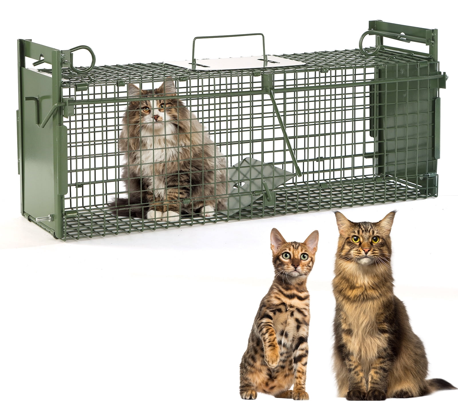 40" 2-Door Large  Live Animal Traps for Stray Cats up to 17.6 Pounds, Raccoons, Squirrel
