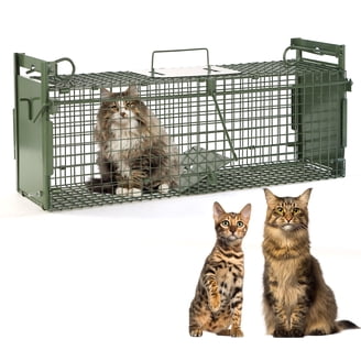 24 Humane Live Animal Trap Cage Heavy Duty Live Raccoon Trap Outdoor For Stray Cats Squirrel Skunk Groundhog And More Catch And Release 1 Pack 24 Humane Live Animal Trap Cage Heavy Duty Live Raccoon Trap Outdoor For Stray Cats Squirrel Skunk Groundhog And More Catch And Release 1 Pack