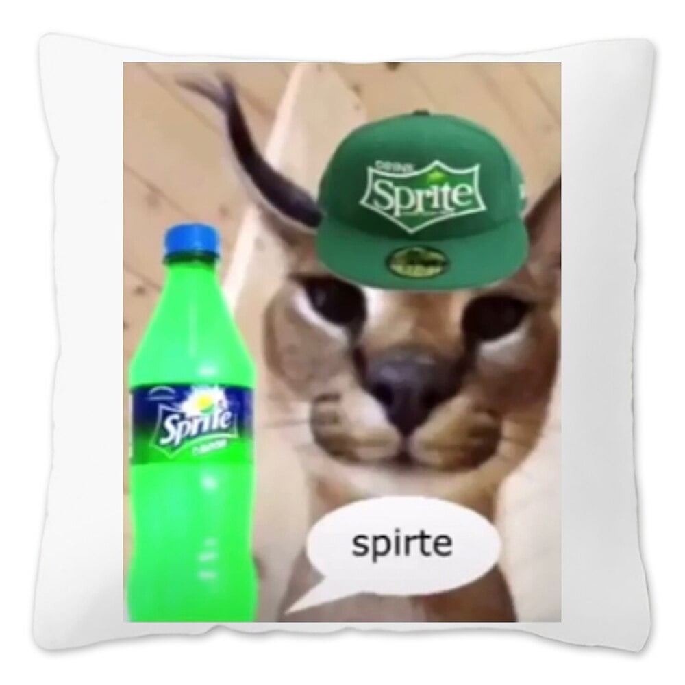 40/45/50/60cm Floppa Meme Pillow Case Cute Cat Decorative Cushion