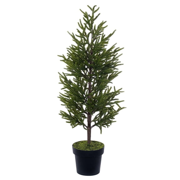 40.5" Potted Green Norfolk Pine Tree