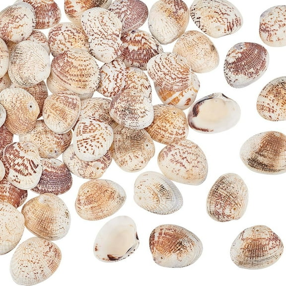 40-50Pcs 24-29mm Tiny Scallop Sea Shells Ocean Beach Clam Seashells Craft Charms for Necklace Jewelry Candle DIY Craft Making Home Decoration Party Wedding Decor Fish Tank Vase Filler