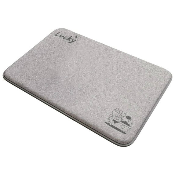 40*60CM Absorbent Floor Mat Bathroom Anti-Slip Door Mat Dirt-Resistant Carpet D