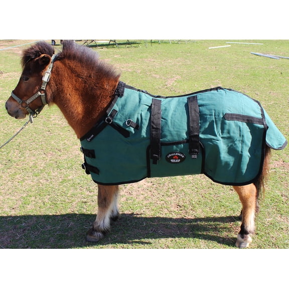 40" Canvas Duck Turnout Water Resistant Foal Winter Blanket 51701