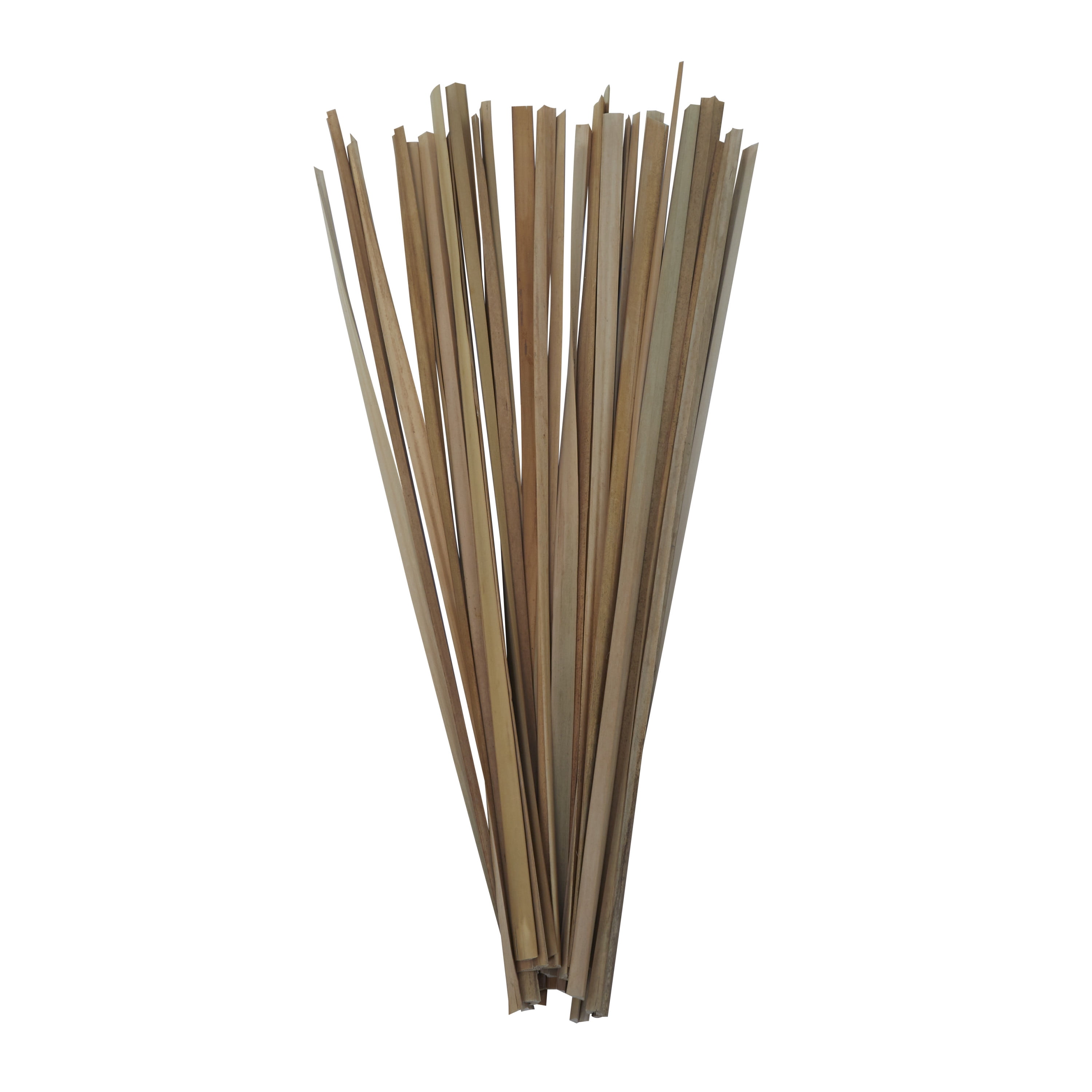 40" Dried Plant Natural Foliage Bouquet with Slender Stems, by DecMode