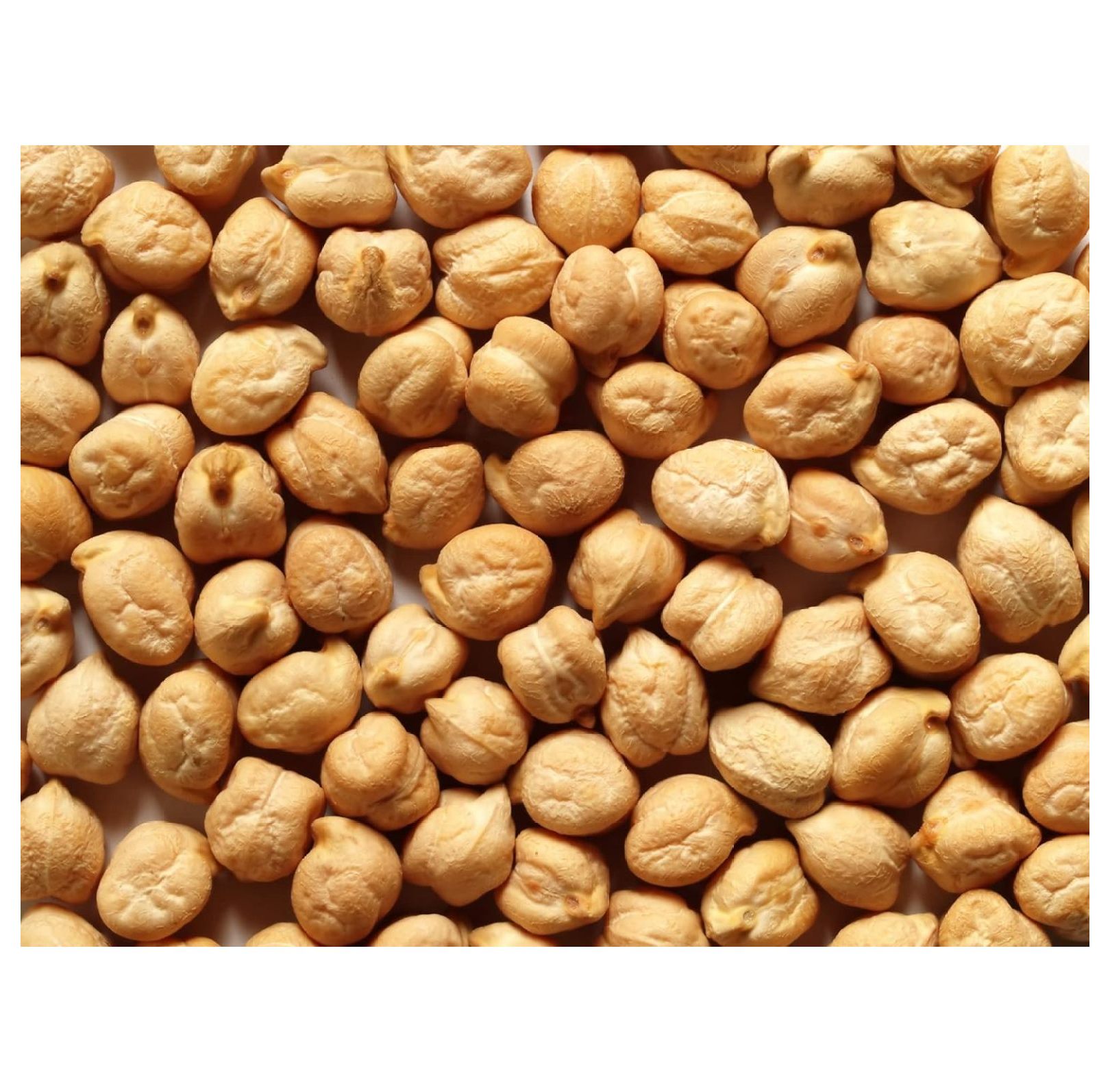 40 Garbanzo Bean Seeds for Planting Grow Chickpeas