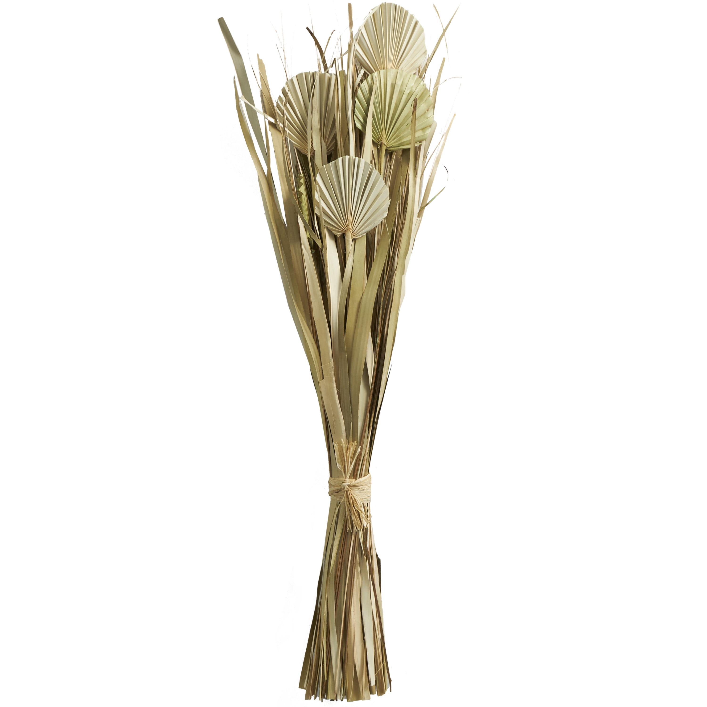 40" Handmade Tall Bouquet Dried Plant Natural Foliage Grass Bouquet with Fan Like Palm Leaves, by DecMode