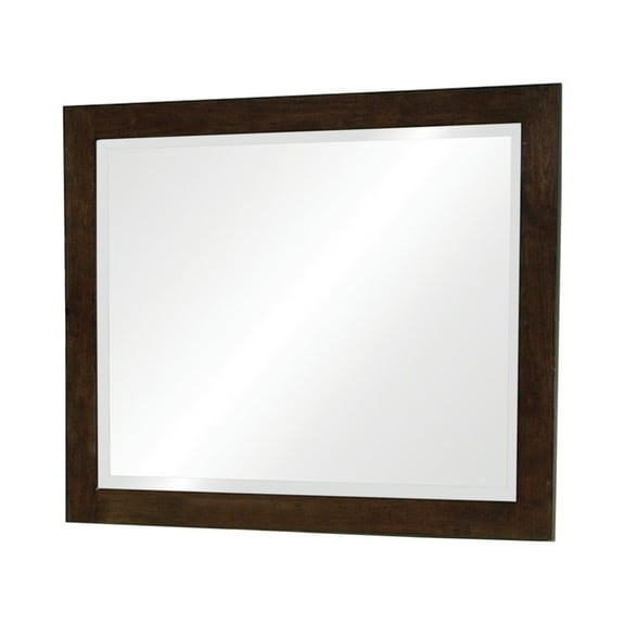 40 Inch Solid Wood Modern Mirror Portrait Framed Cappuccino Brown - Saltoro Sherpi