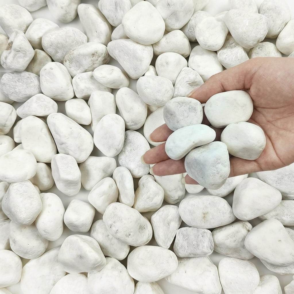 40 Lbs White Rocks For Landscaping 1-2 Inch Gravel. Decorative Pebbles ...