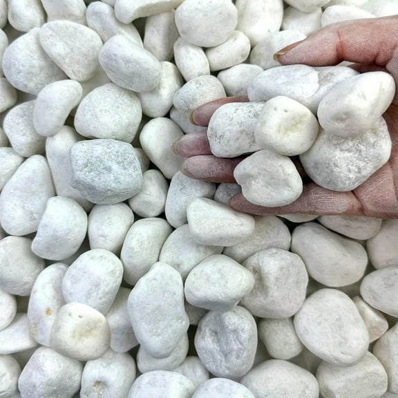 40 Lbs White Rocks For Landscaping 12 Inch White Gravel. Decorative Pebbles Stones For Plants Vases Craft And Garden