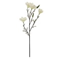 thumbnail image 1 of 40" Magnolia Oversized Stem by Ashland  - Spring Floral for Crafting and Home Decor, 1 of 3