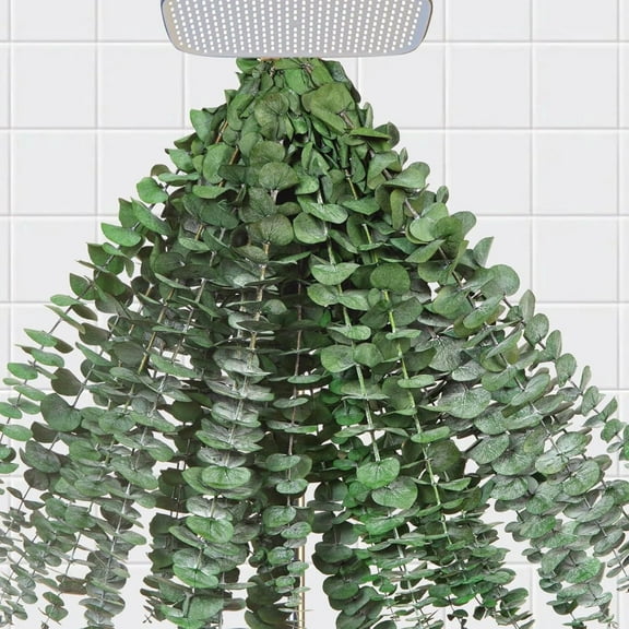 40 PCS Dried Preserved Eucalyptus for Shower, 17" Real Natural Fresh Hanging Eucalyptus Stems,Real Eucalyptus Leaves Branches for Vase Filler,Bathroom,Wedding,Dried Flowers Arrangement Decor