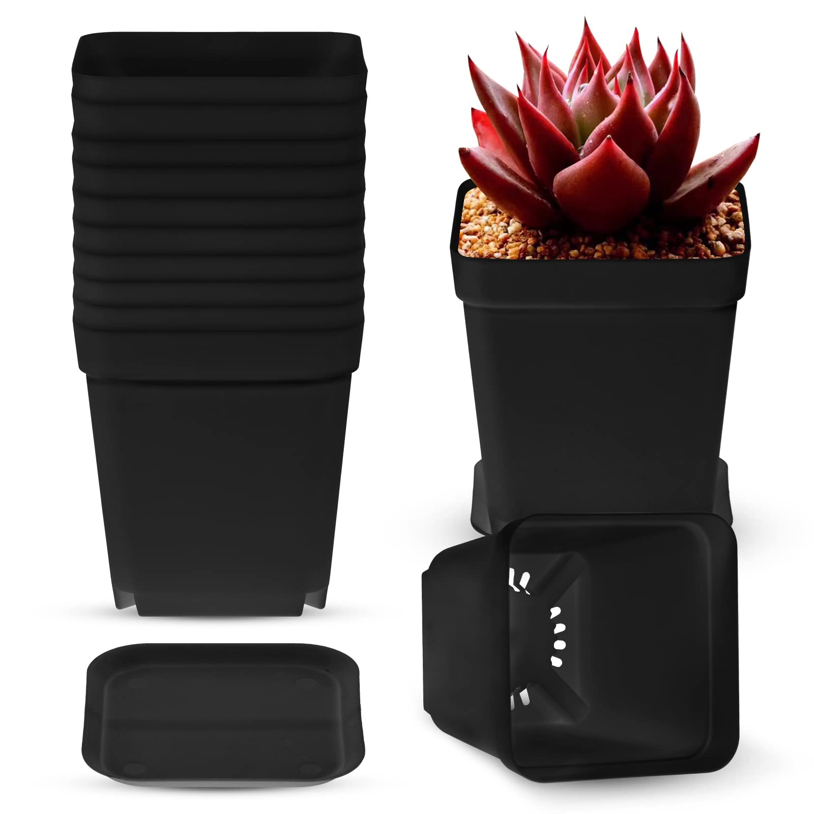 40 Pack 2.7 Inch MMF7 Small Square Plastic Plants Starting Pot Flower