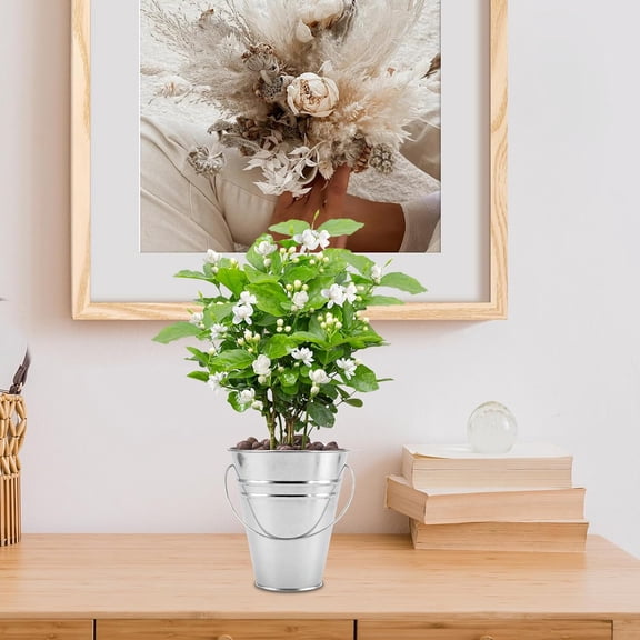 40 Pack 4.5 x 5 Inch Galvanized Metal Buckets, Silver Metallic Pails with Handle, Mini Tinplate Tin Pails for Craft, Ice, Snack, Flower Decoration