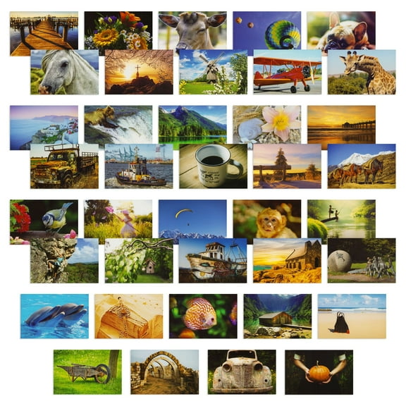 BEST PAPER GREETINGS 4x6 Blank Postcard Set - Photo Postcards for Mailing - Pack of 40, 250gsm, Multi, Wild Animals