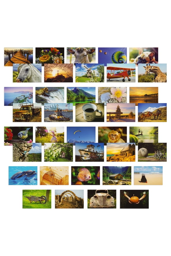 4x6 Blank Postcard Set - Photo Postcards for Mailing - Pack of 40, 250gsm, Multi, Wild Animals