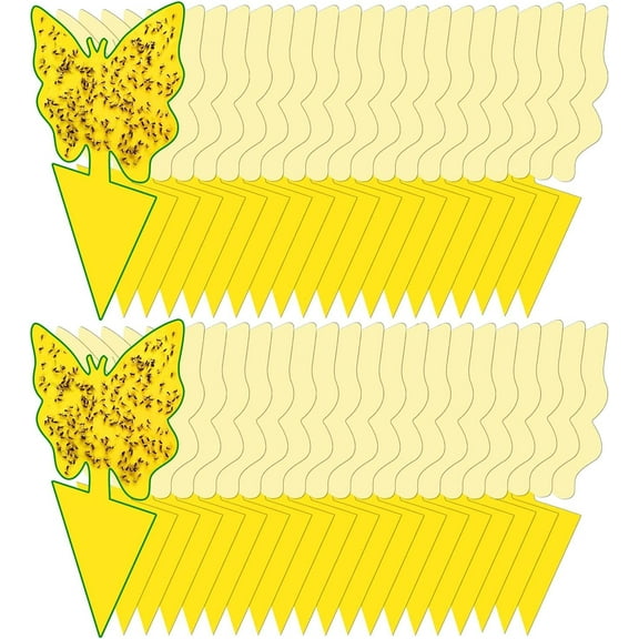 40 Pack Fungus Gnat Traps for House Indoor Yellow Sticky Traps for Gnats Sticky Traps for Plants, Dual-Sided Fungus Gnat Sticky Traps Fruit Fly Traps for Indoors