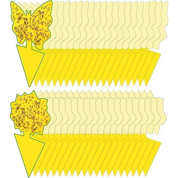 40 Pack Fungus Gnat Traps for House Indoor, Fungus Traps Fruit Fly Traps for Indoors Gnats Sticky Traps for Plants Yellow Sticky Traps for Gnats