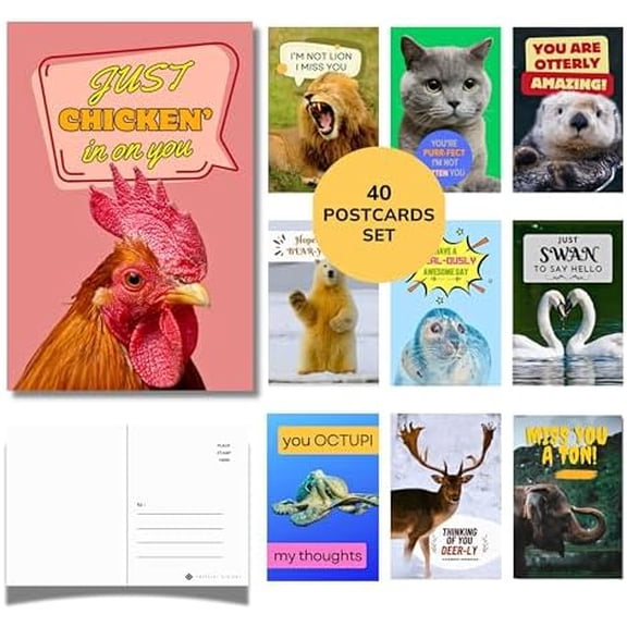 40 Pack Funny Punny POSTCARDS (4"x6") - Say I Miss You, Hello, Thank You, Thinking of You with a Fun Animal Pun by Mail - Bulk Postcards for Parents, Grandparents, Summer Camp$$Office