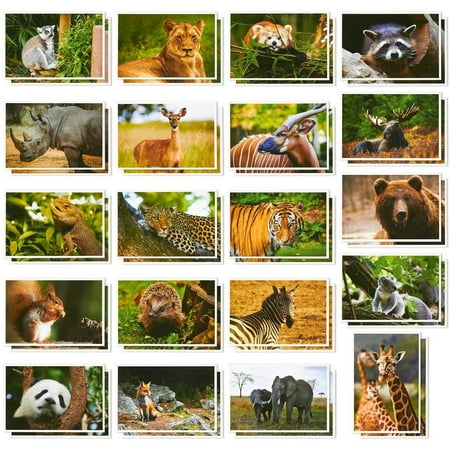 40 Pack Wild Animal Theme Postcards, 20 Designs Bulk Assorted All Occasion Cards 4"x6"