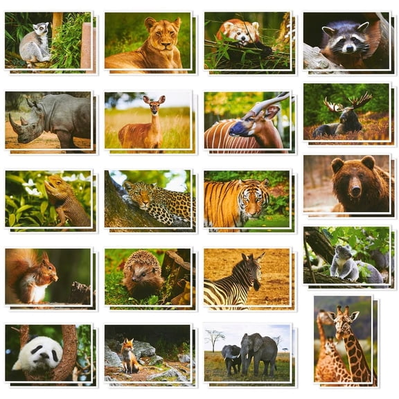 40 Pack Wild Animal Theme Postcards, 20 Designs Bulk Assorted All Occasion Cards 4"x6"