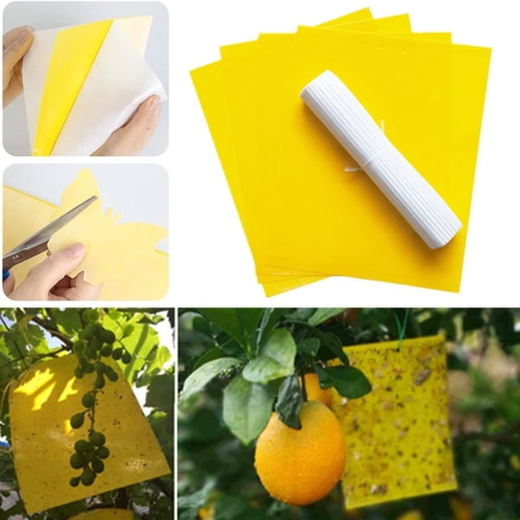 40 Pack Yellow Sticky Traps for Flying Plant Insects, Double Sided Bug Catchers for Fungus Gnats, Whiteflies, Aphids and Thrips, 6 x 8 Inch with Twist Ties