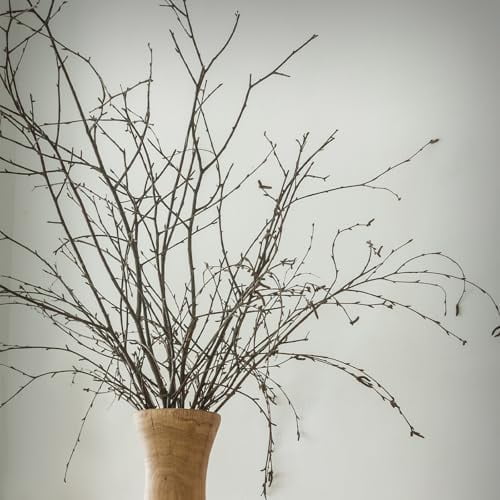 40 Pcs 31" Real Birch Branches for Tall Vases Long Natural Tree Branches for Decorations Decorative Real Twigs Sticks for Table Centerpiece DIY Crafts Arrangements$$Home Decor, Kitchen, & Other