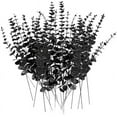 thumbnail image 1 of 40 Pcs Black Eucalyptus Stems - Artificial Eucalyptus Branches Long Stems with Leaves - 16 inch Black Artificial Flowers Faux Plants for Vase Halloween Decor Home Wedding Bouquet, 1 of 6
