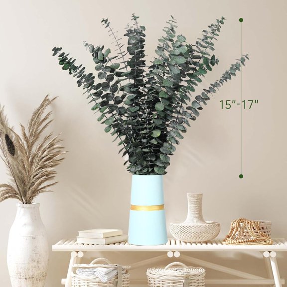 40 Pcs Dried Eucalyptus Stems for Shower, 17'' Natural Real Live Eucalyptus Leaves Branches Hanging Shower Plant for SPA Home Fragrance Bathroom Table Vase Decor$$Home Decor, Kitchen, & Other
