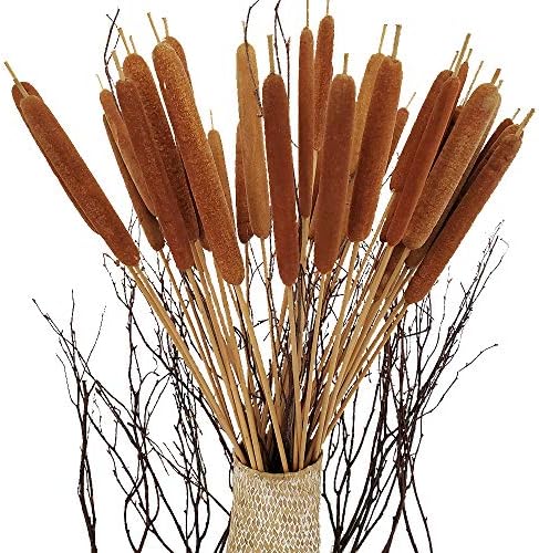 40 Pcs Dried Natural Cattails Jumbo Dried Flowers for Floral Arrangement Wedding Home Decoration$$Home Decor, Kitchen, & Other