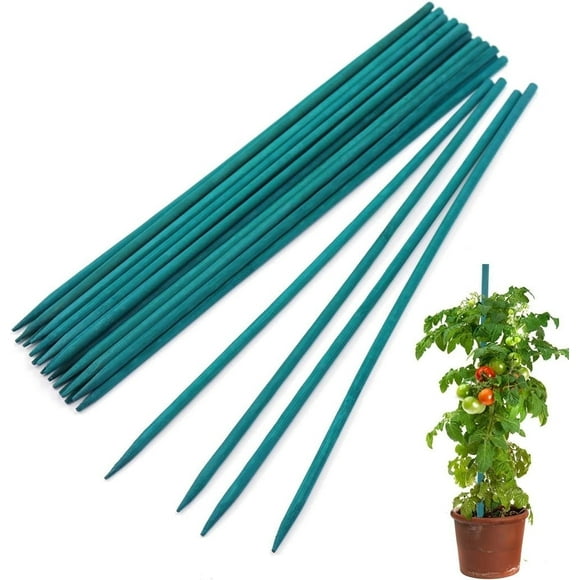 40 Pcs Garden Plant Stakes,Sturdy Bamboo Sticks for Garden Potted Plants,Green Flower Stakes for Supporting Vines Stalks Grow Upright,Wood Plant Sticks,16 inch