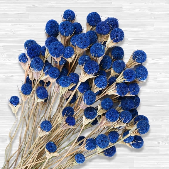 40 Pcs Natural Blue Dried Thistle Flowers Bouquet, Bulk Craspedia Billy Balls Button Plant, 17'' DIY Floral Arrangements for Home Boho Kitchen Table Wedding Vase Decor