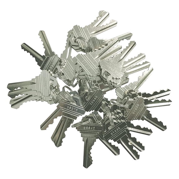 40 Pieces SC1/SC4 Compatible Pre-Cut Keys 5 Pins 10 Sets of 4 SC Keys
