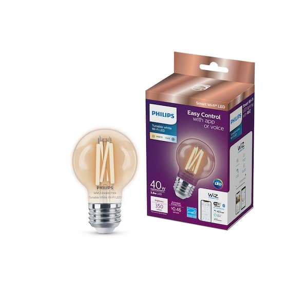 40-Watt Equivalent G16.5 Smart Wi-Fi Vintage Edison LED Light Bulb ...