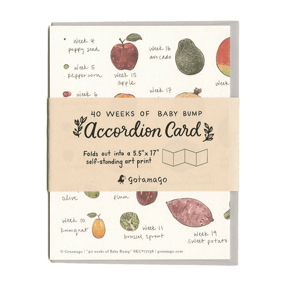 40 Weeks of Baby Bump Accordion Card – Self-Standing Art Print – Folds Out to 5.5” x 17” – Perfect Keepsake for Expecting Mothers and Baby Showers