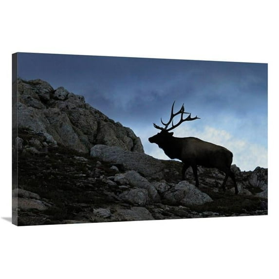 40 in. Approaching Storm Art Print - Vic Schendel