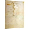 thumbnail image 1 of 40 in. Birch Close Up of Tree Trunk, North America Art Print - Tim Fitzharris, 1 of 1